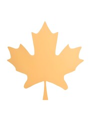 autumn maple leaf