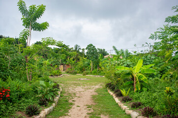 Lush Green Pathway in Palomino, La Guajira, Colombia Surrounded by Tropical Flora