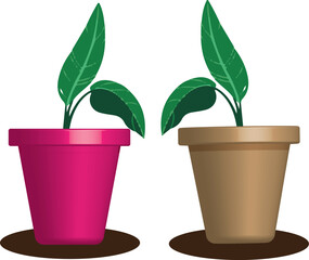 Beautiful plant Design