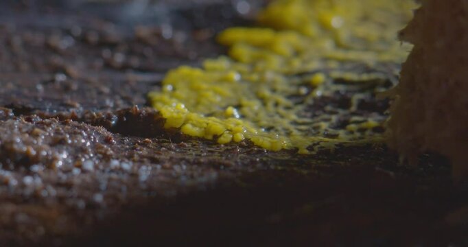 Yellow slime mold plasmodium pulsating motion over rotten piece of tree
