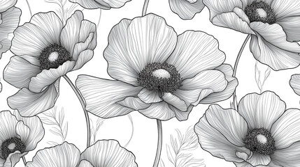 Fototapeta premium Detailed black and white illustration of anemone flowers on white background
