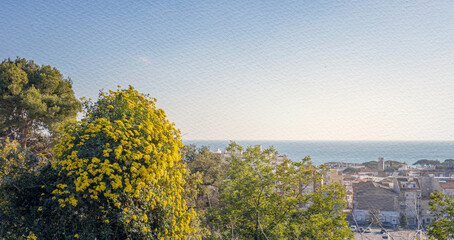 The scene is peaceful and serene, with the tree providing a sense of calmness