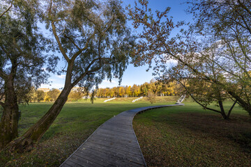 A path in a park with trees and a bench