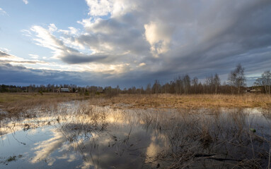 Field of tall grass with a body of water in the foreground