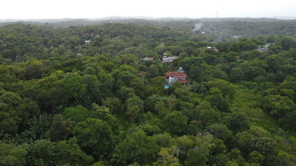Obraz premium Dron Shot of Jungle, Ocean and Pool