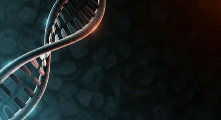 Glowing DNA Double Helix for Biology Lessons