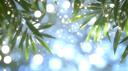 Fototapeta premium A serene view of bamboo leaves against a blurred, sparkling background.