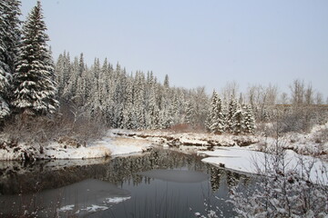 Winter Along Whitemud Creek, Whitemud Park, Edmonton, Alberta