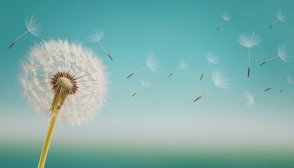 The concept of happiness and new beginnings: Dandelion seeds floating in the wind, symbolizing wishes and fresh starts.
