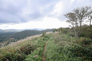 산 정상에서 바라보는 풍경 제주 제주시 봉개동 민오름