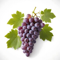 Fototapeta premium grapes isolated on white background