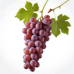 Fototapeta premium grapes isolated on white background