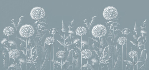 Wallpaper design for the wall. Botanical drawing, large dandelions. Textile design.