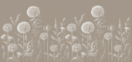 Wallpaper design for the wall. Botanical drawing, large dandelions. Textile design.