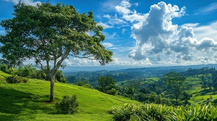 Obraz premium Landscape featuring hopeful elements like bright skies, lush greenery, or a serene view