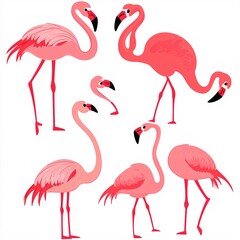 Fototapeta premium set of flamingos