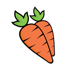 Carrot vector cartoon. Vegetables icon isolated on white.