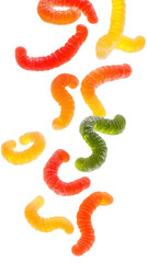 Falling Sour Gummy Worms isolated on white background, full depth of field, transparent png background