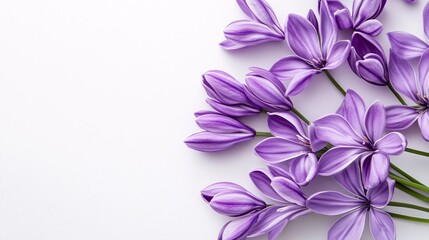 Purple flowers arranged on white background, leaving copy space. Generative ai