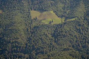 Mountains and tree background. Mountains landscape. Alpine meadows and beautiful mountains. Forest background. Green mountain landscape background. Panoramic view of mountain. Nature background.