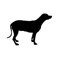 犬　シルエット