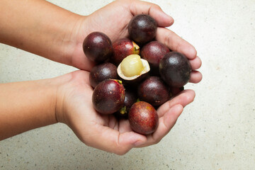 Closeup view of hand carrying Matoa fruit (Pometia pinnata) typical of Papua, Indonesia