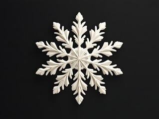 Intricate White Snowflake Design Against Black Background