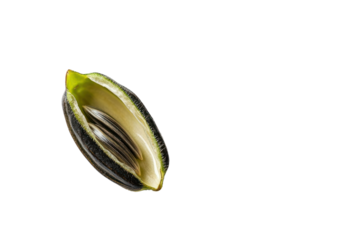 Hidden Treasure:  A single sunflower seed, meticulously split open, reveals three gleaming coins nestled within.  A captivating image symbolizing potential, growth, and hidden wealth. 