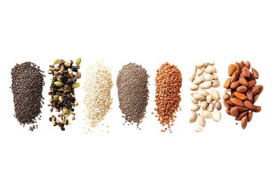Aromatic Spice and Seed Collection 