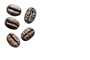 Roasted Coffee Beans: A scattering of dark, roasted coffee beans, their rich aroma and texture captivating the senses. The beans are arranged in a simple yet elegant pattern.