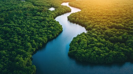 River delta with intricate waterways surrounded by lush vegetation