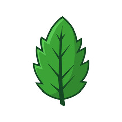 Simple green leaves vector illustration , green leaves vector made with hand drawn style