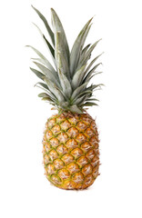 A large pineapple sits on a white background