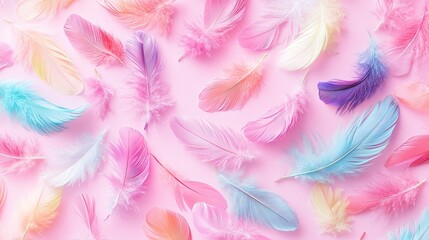 Colorful Soft Feathers on Pink Background for Creative Designs