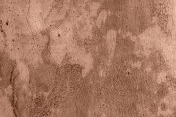 Eucalyptus tree trunk macro closeup texture fbackdrop in mocha mousse brown color of the year 2025