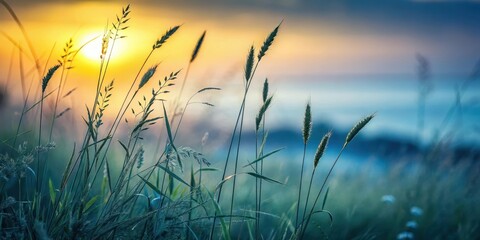 Obraz premium Golden hour serenity Tall grasses silhouetted against a vibrant sunset, evoking peace and tranquility