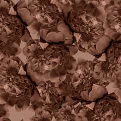 Seamless pattern of fresh light brown peonies.