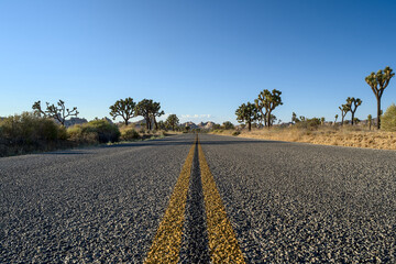 Road through the Mojave National Preserve, California, USA