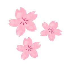 手描き　3輪の桜のイラスト