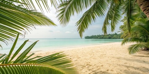 Obraz premium A picturesque tropical beach scene framed by lush palm fronds, showcasing tranquil turquoise water and pristine sand