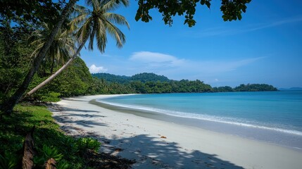 Scenic view of a tropical beach with white sand, turquoise water, and palm trees under a clear blue sky