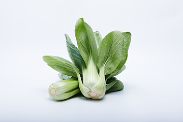 Fresh pak choy vegetables in photo with white background