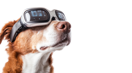 Dog wearing digital accessories in a tech-inspired setting,isolated on transparent and white background.PNG image