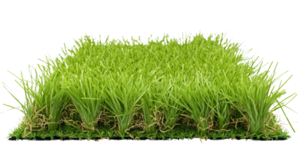 Artificial grass