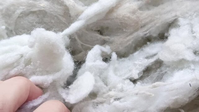 A woman's hand crushes a holofiber. Filler for pillows, soft toys. Industrial production of sintepon.