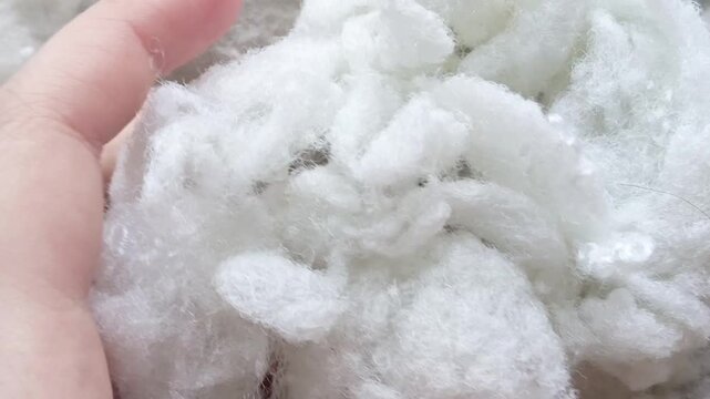 A woman's hand crushes a holofiber. Filler for pillows, soft toys. Industrial production of sintepon.