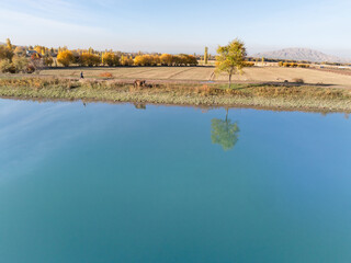Drone view of landscape of a lake near the mountain on a clear day. A beautiful tree reflected in the water. Vivid natural scenery photo.