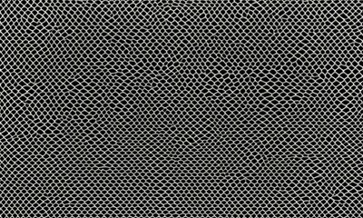 Black mesh texture isolated on white background, clipping path