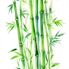 Obraz premium A vibrant watercolor illustration of bamboo stalks and leaves on a white background.