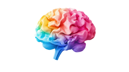 Rainbow Brain: A vibrant, colorful human brain evokes thoughts of creativity, intelligence, and learning.  The dynamic colors symbolize the spectrum of human potential and the power of the mind. 